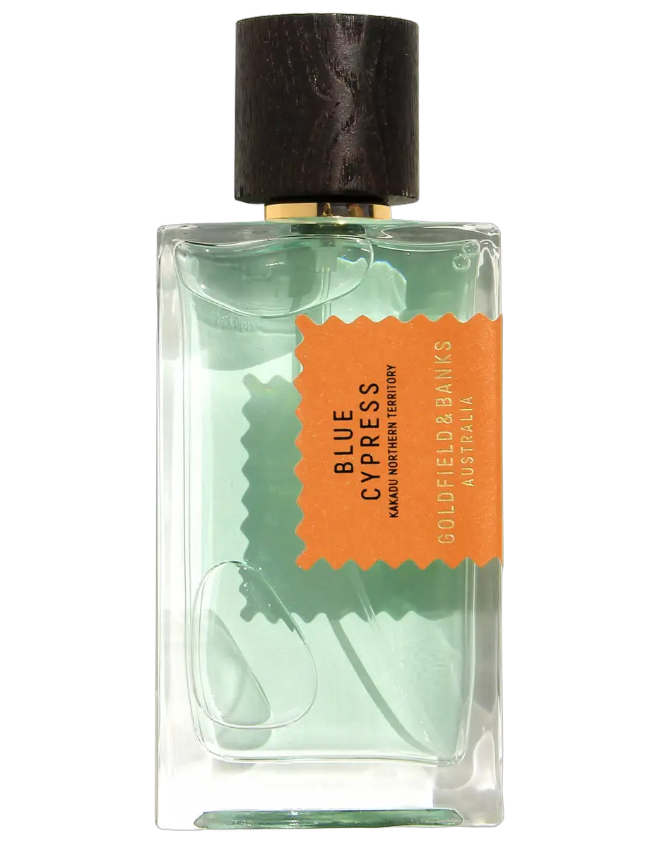 Blue Cypress by Goldfield & Banks Australia