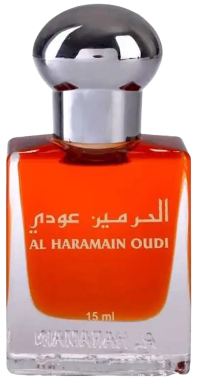 Oudi