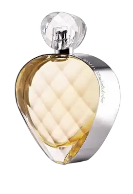 Untold by Elizabeth Arden