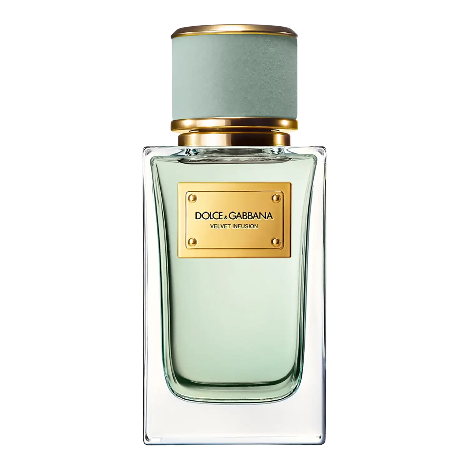 Velvet Infusion by Dolce&Gabbana