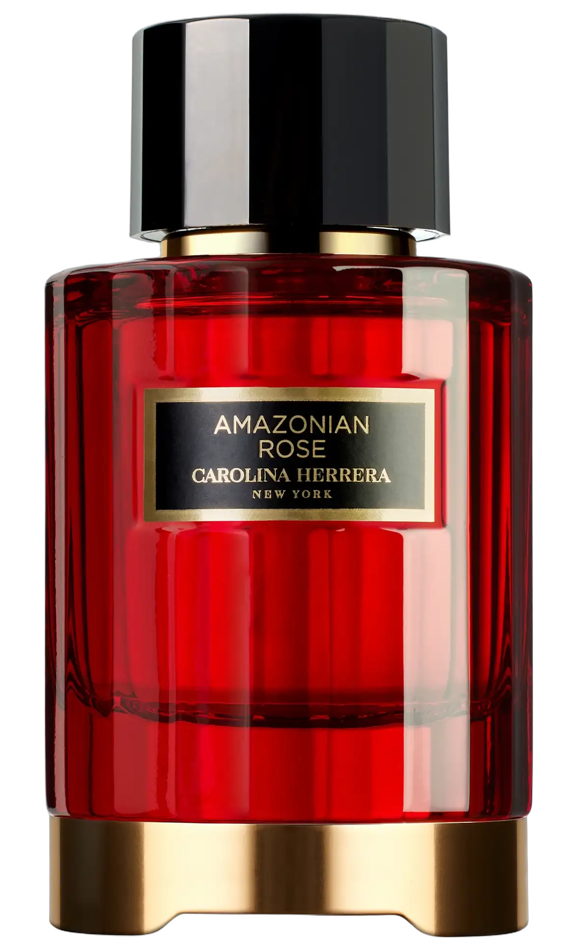 Amazonian Rose