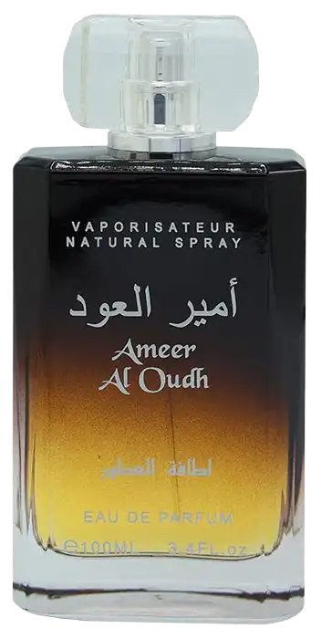 Ameer Al Oudh