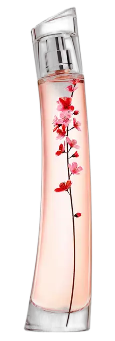 Flower Ikebana Sakura by Kenzo
