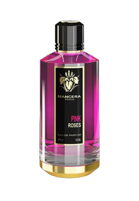 Pink Roses by Mancera