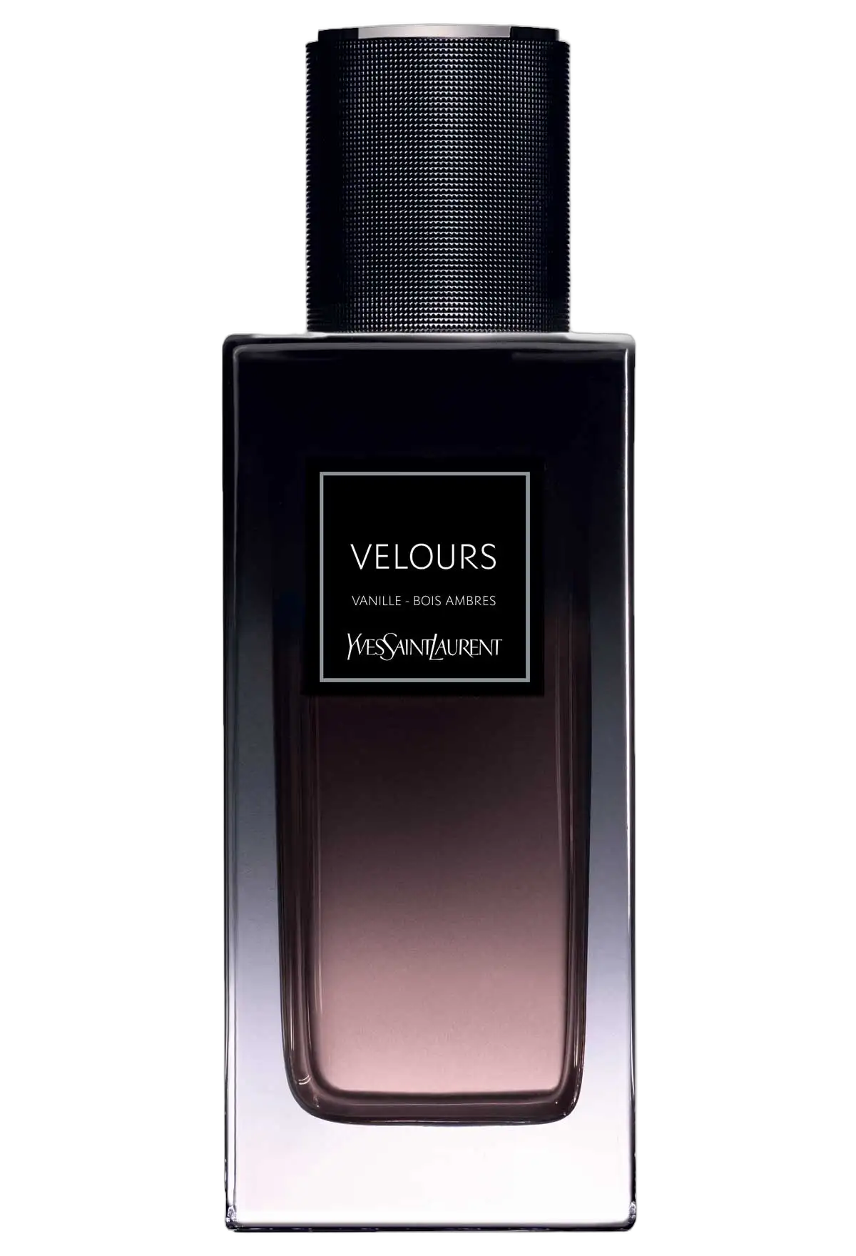 Velours by Yves Saint Laurent