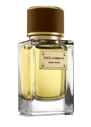 Velvet Wood by Dolce&Gabbana