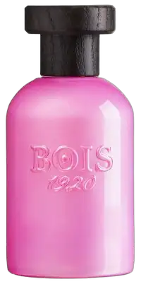 Rosa di Filare by Bois 1920