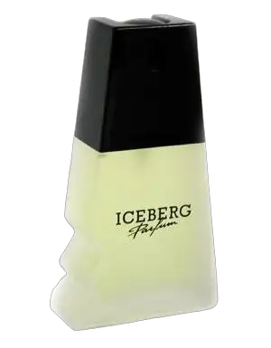Iceberg