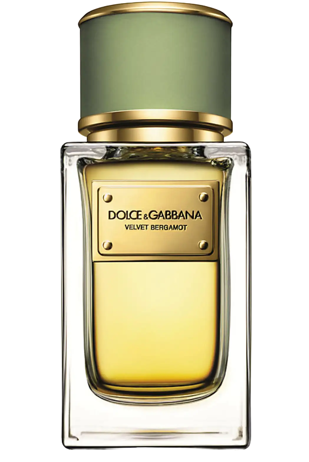 Velvet Bergamot by Dolce&Gabbana