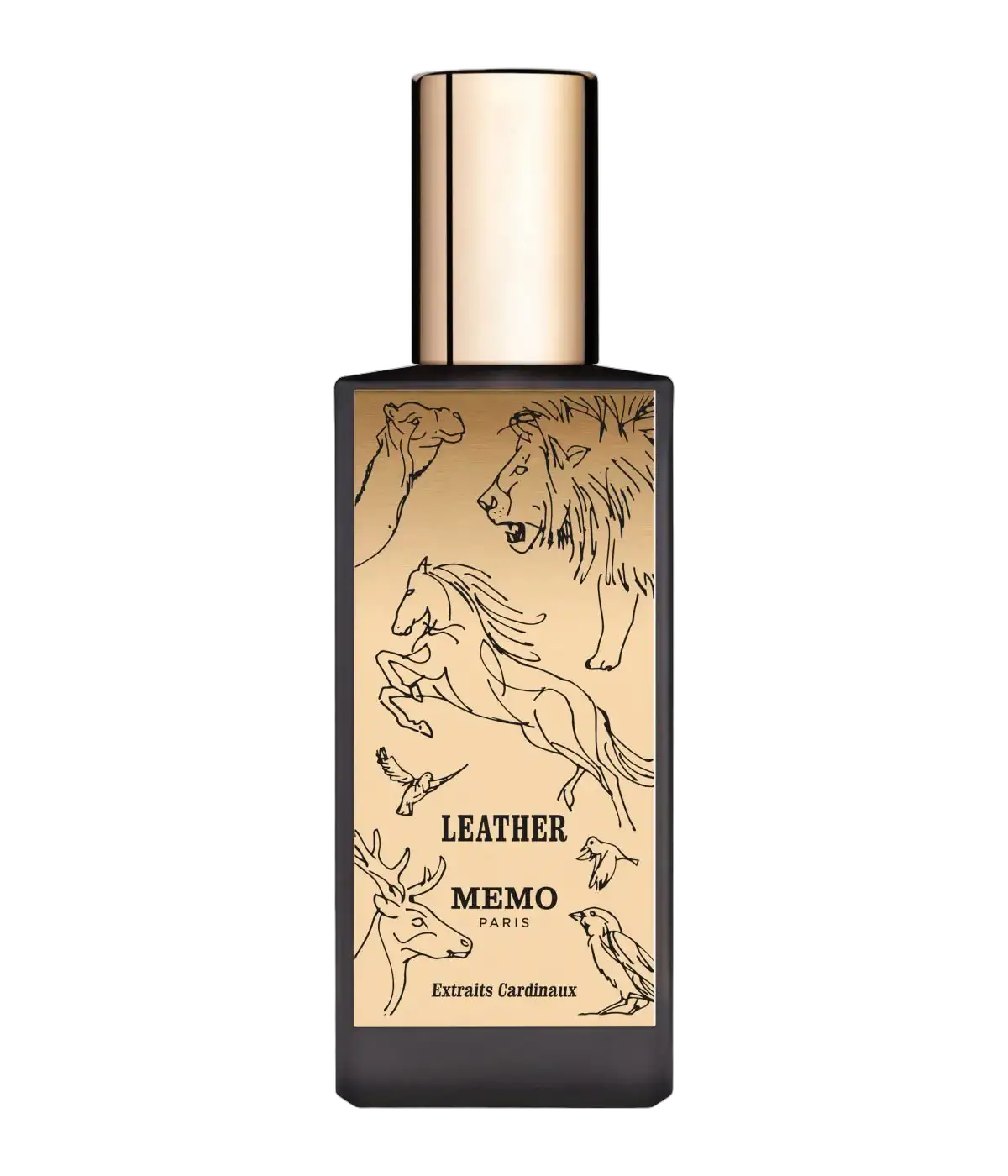 Leather by Memo Paris