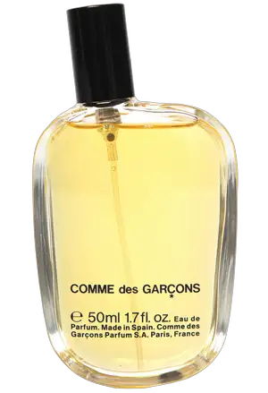 Comme des Garsons 3 by Comme des Garcons