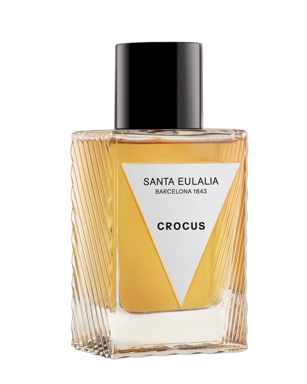 Crocus by Santa Eulalia