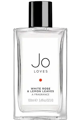 White Rose & Lemon Leaves by Jo Loves