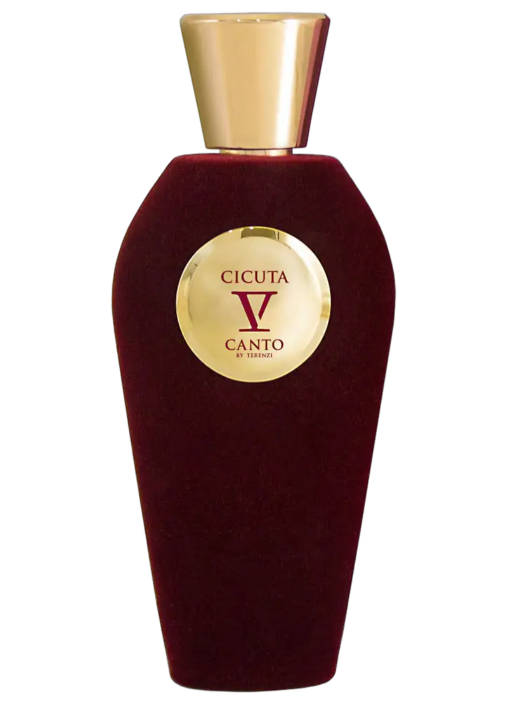 Cicuta by V Canto