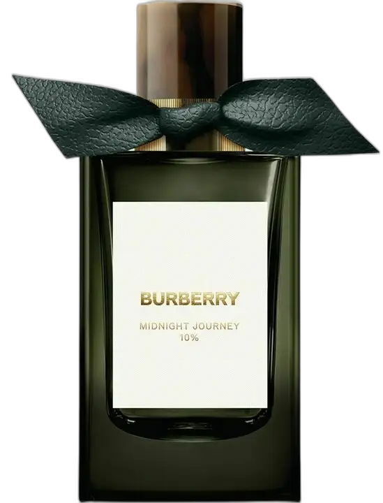 Midnight Journey by Burberry