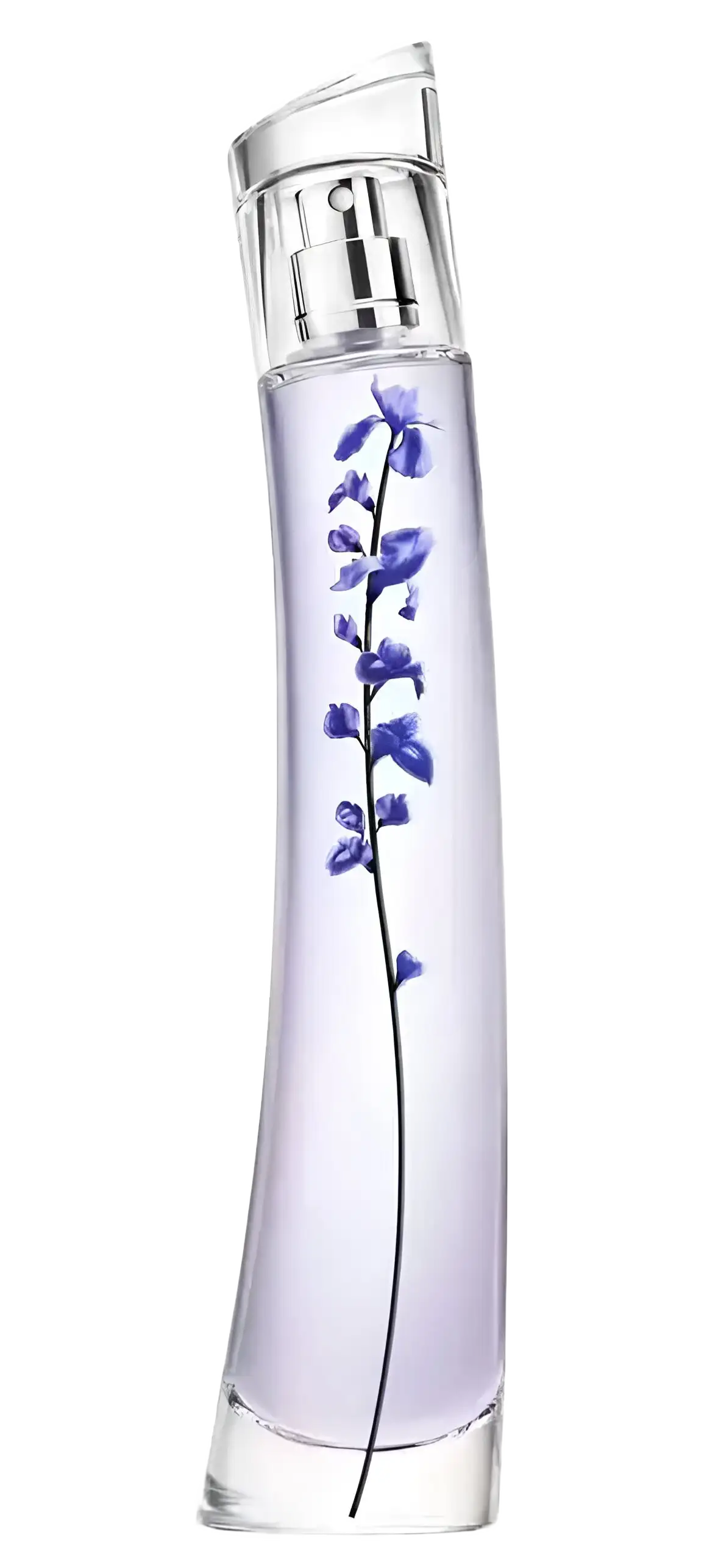 Flower Ikebana Indigo by Kenzo