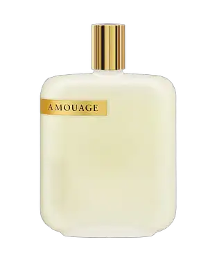 The Library Collection Opus II by Amouage