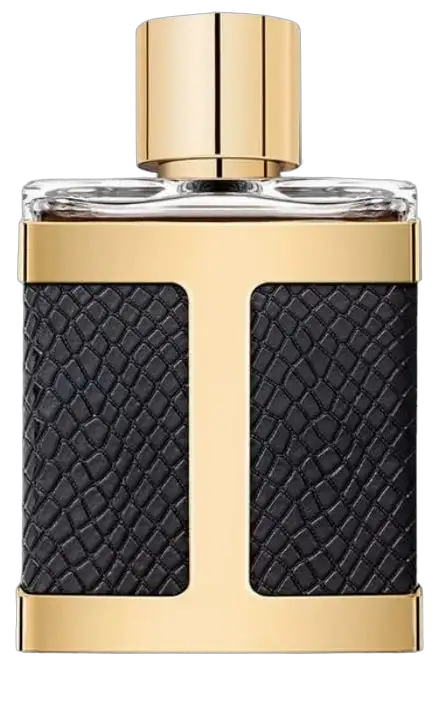 CH Insignia Men