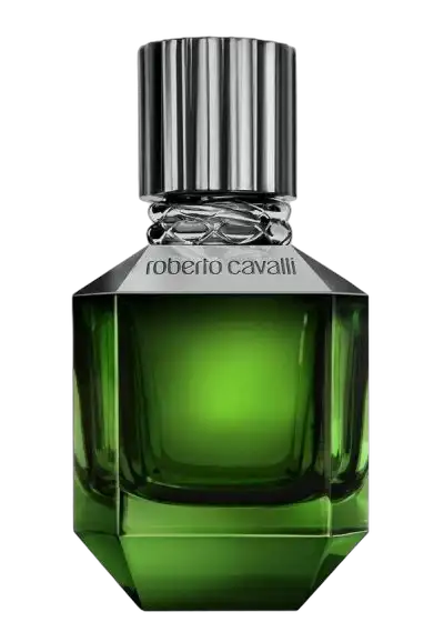 Paradise Found For Men by Roberto Cavalli