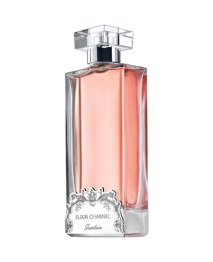 Elixir Charnel Gourmand Coquin